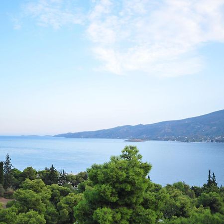 Maria Studios Poros Town Buitenkant foto